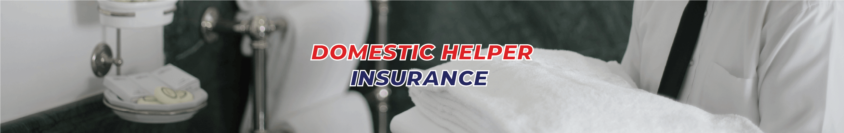 Domestic Helper Insurance