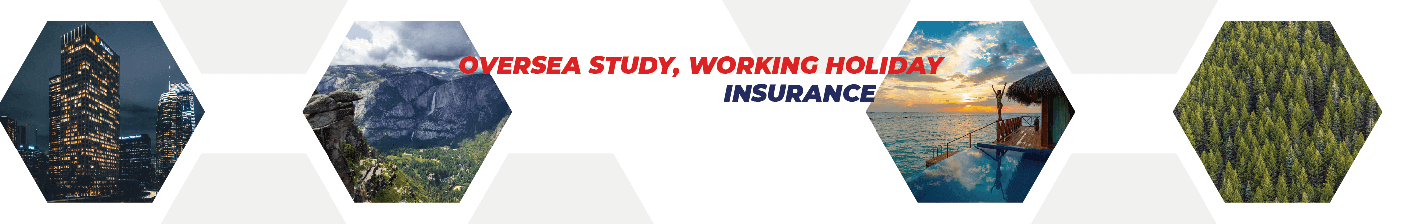 Overseas Study, Working Holiday Insurance